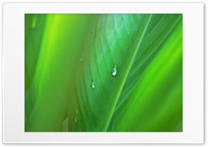 100 1721 Ultra HD Wallpaper for 4K UHD Widescreen desktop, tablet & smartphone