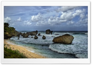 A Beach, Barbados Ultra HD Wallpaper for 4K UHD Widescreen desktop, tablet & smartphone