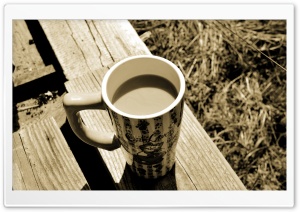 A Catlovers Coffee Time Ultra HD Wallpaper for 4K UHD Widescreen desktop, tablet & smartphone
