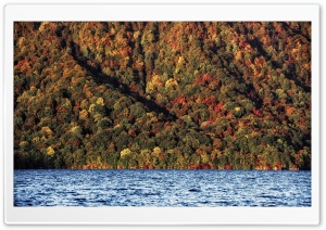 A Change of Seasons Ultra HD Wallpaper for 4K UHD Widescreen desktop, tablet & smartphone
