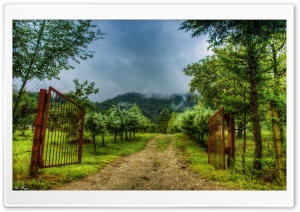 A Gate to the Imagination Ultra HD Wallpaper for 4K UHD Widescreen desktop, tablet & smartphone