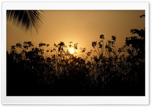 A Hot Morning Ultra HD Wallpaper for 4K UHD Widescreen desktop, tablet & smartphone