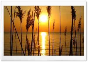 A Perfect Sunset Ultra HD Wallpaper for 4K UHD Widescreen desktop, tablet & smartphone
