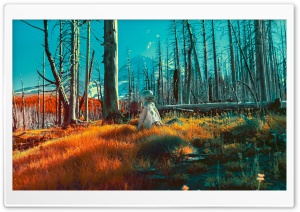 A Quiet Place Infrared Photography Ultra HD Wallpaper for 4K UHD Widescreen desktop, tablet & smartphone
