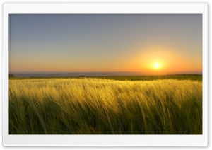 A Sunny Days End Ultra HD Wallpaper for 4K UHD Widescreen desktop, tablet & smartphone