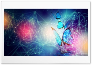 Abstract Butterfly Ultra HD Wallpaper for 4K UHD Widescreen desktop, tablet & smartphone