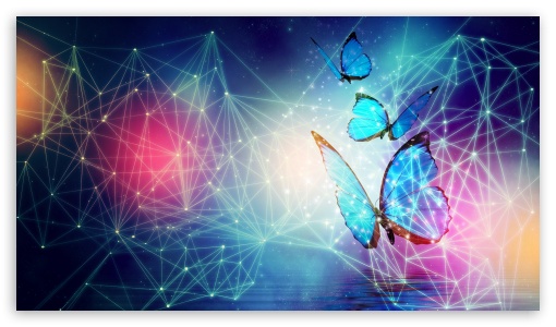Abstract Butterfly UltraHD Wallpaper for 8K UHD TV 16:9 Ultra High Definition 2160p 1440p 1080p 900p 720p ; Mobile 16:9 - 2160p 1440p 1080p 900p 720p ;