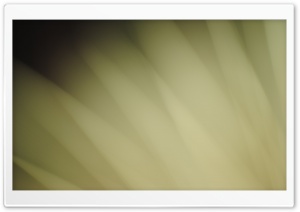 Abstract Fireworks Background Ultra HD Wallpaper for 4K UHD Widescreen desktop, tablet & smartphone
