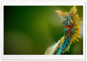 Abstract Fresh Ultra HD Wallpaper for 4K UHD Widescreen desktop, tablet & smartphone