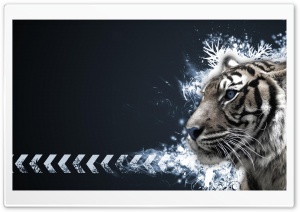 abstract tiger Ultra HD Wallpaper for 4K UHD Widescreen desktop, tablet & smartphone