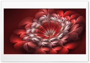 abstraction flower Ultra HD Wallpaper for 4K UHD Widescreen desktop, tablet & smartphone