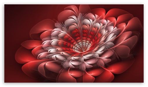 abstraction flower UltraHD Wallpaper for 8K UHD TV 16:9 Ultra High Definition 2160p 1440p 1080p 900p 720p ; Mobile 16:9 - 2160p 1440p 1080p 900p 720p ;