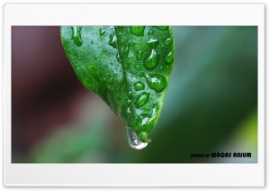 After Rain Ultra HD Wallpaper for 4K UHD Widescreen desktop, tablet & smartphone