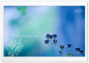 Albanian Flag Ultra HD Wallpaper for 4K UHD Widescreen desktop, tablet & smartphone