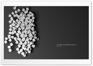 Albert Einstein Quote Ultra HD Wallpaper for 4K UHD Widescreen desktop, tablet & smartphone