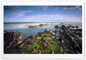 Algae On Rocks Ultra HD Wallpaper for 4K UHD Widescreen desktop, tablet & smartphone