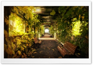 Alley Ultra HD Wallpaper for 4K UHD Widescreen desktop, tablet & smartphone
