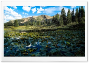 Along the Million Dollar Highway Ultra HD Wallpaper for 4K UHD Widescreen desktop, tablet & smartphone