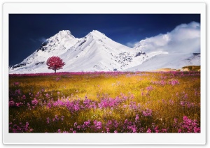 Alps Ultra HD Wallpaper for 4K UHD Widescreen desktop, tablet & smartphone