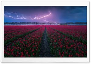 Amazing Lightning Storm Ultra HD Wallpaper for 4K UHD Widescreen desktop, tablet & smartphone