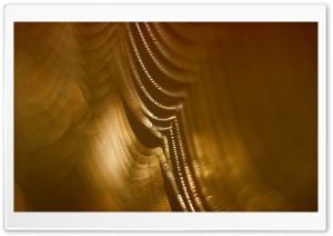 Amber Light Ultra HD Wallpaper for 4K UHD Widescreen desktop, tablet & smartphone