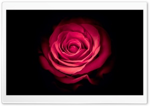 Amor De Fuego Ultra HD Wallpaper for 4K UHD Widescreen desktop, tablet & smartphone