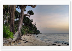 Andaman and Nicobar Islands Ultra HD Wallpaper for 4K UHD Widescreen desktop, tablet & smartphone