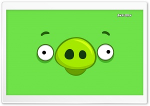 Angry Birds Pig Happy Ultra HD Wallpaper for 4K UHD Widescreen desktop, tablet & smartphone