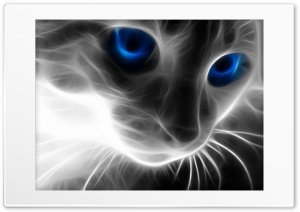 Animal Cat Ultra HD Wallpaper for 4K UHD Widescreen desktop, tablet & smartphone