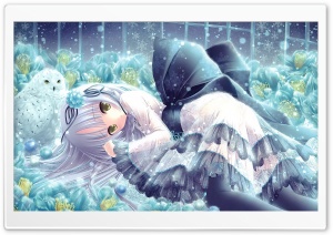 Anime Girl And Owl Ultra HD Wallpaper for 4K UHD Widescreen desktop, tablet & smartphone