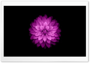 Apple iOS Ultra HD Wallpaper for 4K UHD Widescreen desktop, tablet & smartphone