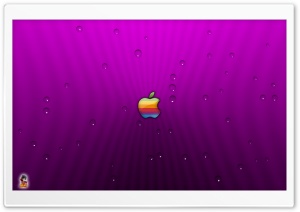 Apple Mac Logo Ultra HD Wallpaper for 4K UHD Widescreen desktop, tablet & smartphone