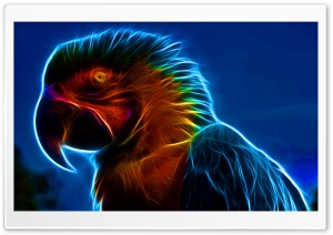 Ara Ultra HD Wallpaper for 4K UHD Widescreen desktop, tablet & smartphone