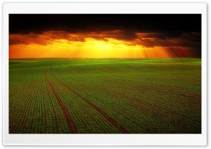 Arable Land Landscape, Spring Ultra HD Wallpaper for 4K UHD Widescreen desktop, tablet & smartphone