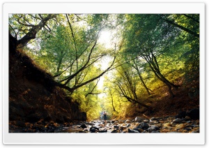Armenia, Tavush, Hayk B Photography Ultra HD Wallpaper for 4K UHD Widescreen desktop, tablet & smartphone