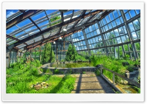 Armenia, Yerevan, Botanical garden Ultra HD Wallpaper for 4K UHD Widescreen desktop, tablet & smartphone