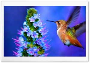 Arrival Ultra HD Wallpaper for 4K UHD Widescreen desktop, tablet & smartphone