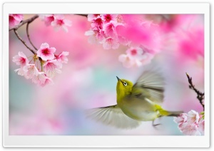 Art Of Nature Ultra HD Wallpaper for 4K UHD Widescreen desktop, tablet & smartphone