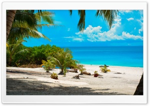 Asu Island Beach Ultra HD Wallpaper for 4K UHD Widescreen desktop, tablet & smartphone