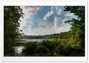 Asylum Lake Preserve, Kalamazoo, Michigan, USA Ultra HD Wallpaper for 4K UHD Widescreen desktop, tablet & smartphone