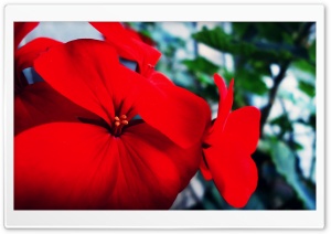 atuKa`s art Ultra HD Wallpaper for 4K UHD Widescreen desktop, tablet & smartphone