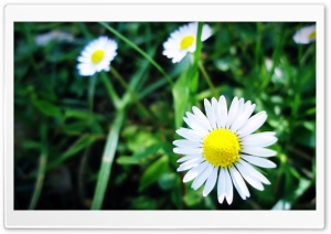 atuKa's art Ultra HD Wallpaper for 4K UHD Widescreen desktop, tablet & smartphone