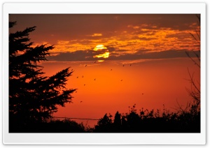 August Sunrise Ultra HD Wallpaper for 4K UHD Widescreen desktop, tablet & smartphone