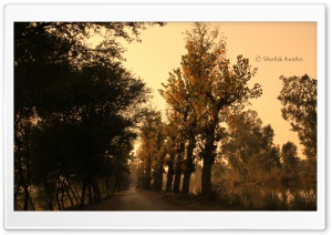 Autumn by Mustafa Abad Lalyani Ultra HD Wallpaper for 4K UHD Widescreen desktop, tablet & smartphone