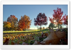 Autumn Colors Scenery Ultra HD Wallpaper for 4K UHD Widescreen desktop, tablet & smartphone