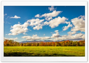 Autumn, Fall, Landscape, Blue Sky, Clouds, Forest, Woods Ultra HD Wallpaper for 4K UHD Widescreen desktop, tablet & smartphone