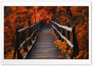 Autumn, Hike Ultra HD Wallpaper for 4K UHD Widescreen desktop, tablet & smartphone