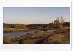 Autumn in Forest Ultra HD Wallpaper for 4K UHD Widescreen desktop, tablet & smartphone