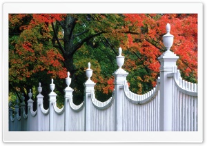 Autumn In New England, Bennington, Vermont Ultra HD Wallpaper for 4K UHD Widescreen desktop, tablet & smartphone