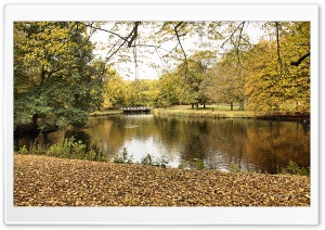 Autumn in the Clingendael Park Ultra HD Wallpaper for 4K UHD Widescreen desktop, tablet & smartphone